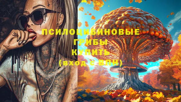 дмт Аркадак